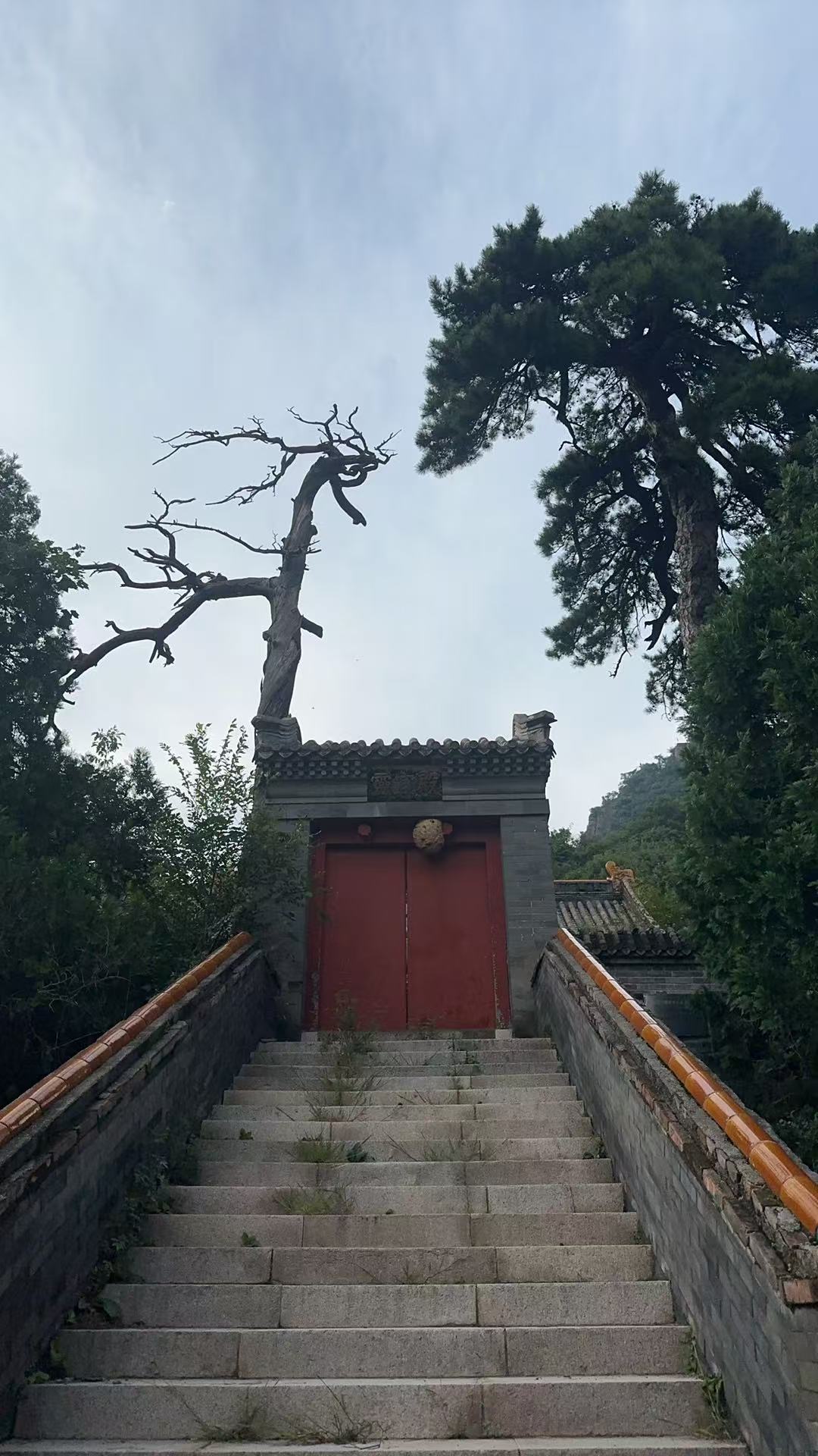 妙峰山灵官殿门口的马蜂窝